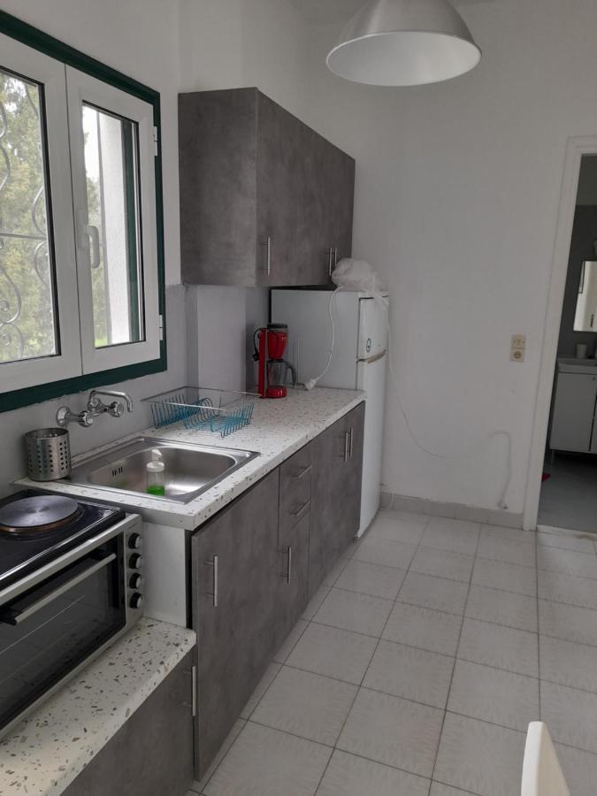 Olive Terra Holiday Aparments Lefkimi Extérieur photo